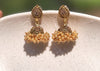 Elegant Rajwadi-inspired traditional design