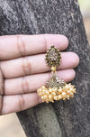 Elegant Rajwadi-inspired traditional design